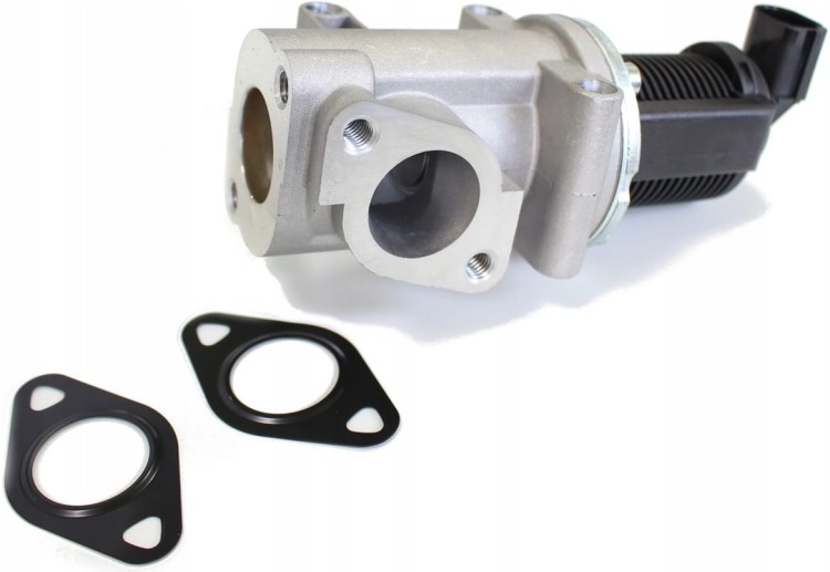 6ed92dff4e518d9d8dc432c65c8c